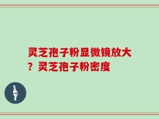 灵芝孢子粉显微镜放大？灵芝孢子粉密度