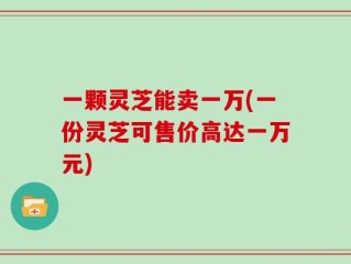 一颗灵芝能卖一万(一份灵芝可售价高达一万元)