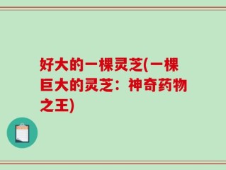 好大的一棵灵芝(一棵巨大的灵芝：神奇药物之王)