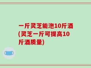 一斤灵芝能泡10斤酒(灵芝一斤可提高10斤酒质量)