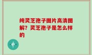 纯灵芝孢子图片高清图解？灵芝孢子是怎么样的