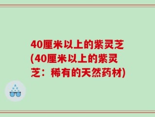 40厘米以上的紫灵芝(40厘米以上的紫灵芝：稀有的天然药材)