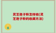 灵芝孢子粉怎样收(灵芝孢子粉的收藏方法)