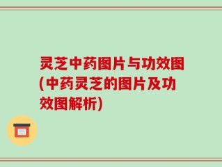 灵芝中药图片与功效图(中药灵芝的图片及功效图解析)