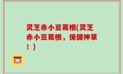 灵芝赤小豆葛根(灵芝赤小豆葛根，保健神草！)