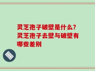 灵芝孢子破壁是什么？灵芝孢子去壁与破壁有哪些差别