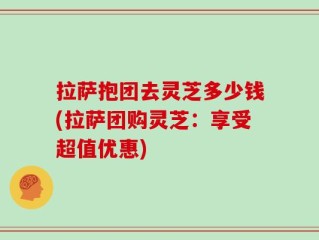 拉萨抱团去灵芝多少钱(拉萨团购灵芝：享受超值优惠)