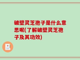 破壁灵芝孢子是什么意思呢(了解破壁灵芝孢子及其功效)