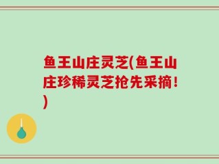鱼王山庄灵芝(鱼王山庄珍稀灵芝抢先采摘！)