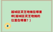 越城区灵芝地摊在哪里啊(越城区灵芝地摊的位置在哪里？)