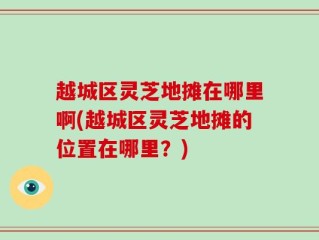 越城区灵芝地摊在哪里啊(越城区灵芝地摊的位置在哪里？)