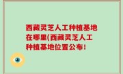 西藏灵芝人工种植基地在哪里(西藏灵芝人工种植基地位置公布！