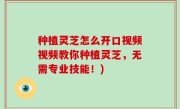 种植灵芝怎么开口视频视频教你种植灵芝，无需专业技能！)