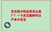 灵芝孢子粉盆景怎么推广？一个灵芝菌棒可以产多少灵芝