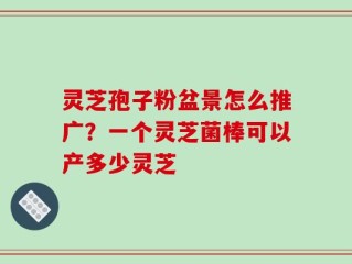 灵芝孢子粉盆景怎么推广？一个灵芝菌棒可以产多少灵芝