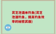 灵芝泡酒米钓鱼(灵芝泡酒钓鱼，提高钓鱼效率的秘密武器)