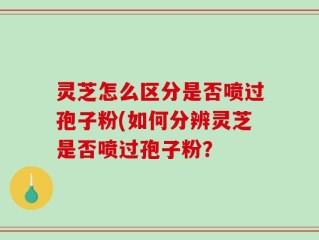 灵芝怎么区分是否喷过孢子粉(如何分辨灵芝是否喷过孢子粉？
