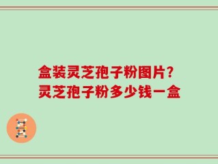 盒装灵芝孢子粉图片？灵芝孢子粉多少钱一盒