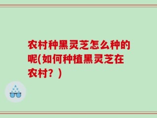农村种黑灵芝怎么种的呢(如何种植黑灵芝在农村？)