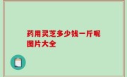 药用灵芝多少钱一斤呢图片大全