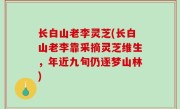 长白山老李灵芝(长白山老李靠采摘灵芝维生，年近九旬仍逐梦山林)