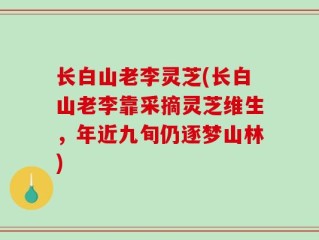 长白山老李灵芝(长白山老李靠采摘灵芝维生，年近九旬仍逐梦山林)