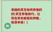 采回的灵芝如何养殖的好(灵芝养殖技巧，让你在家也能轻松种植，收获丰收！)