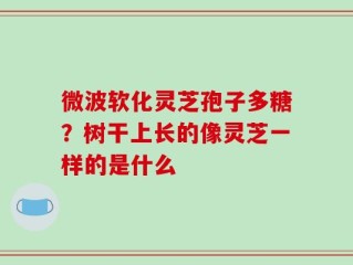 微波软化灵芝孢子多糖？树干上长的像灵芝一样的是什么