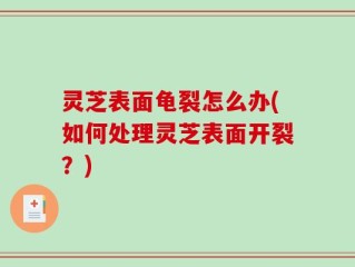 灵芝表面龟裂怎么办(如何处理灵芝表面开裂？)