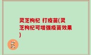 灵芝枸杞 打疫苗(灵芝枸杞可增强疫苗效果)