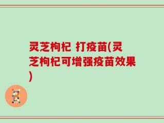 灵芝枸杞 打疫苗(灵芝枸杞可增强疫苗效果)