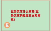 盆景灵芝什么寓意(盆景灵芝的象征意义及寓意)