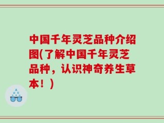 中国千年灵芝品种介绍图(了解中国千年灵芝品种，认识神奇养生草本！)