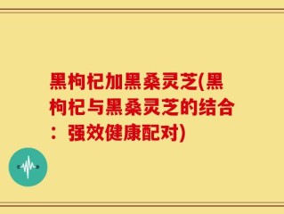 黑枸杞加黑桑灵芝(黑枸杞与黑桑灵芝的结合：强效健康配对)