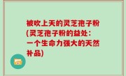 被吹上天的灵芝孢子粉(灵芝孢子粉的益处：一个生命力强大的天然补品)