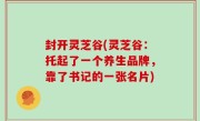 封开灵芝谷(灵芝谷：托起了一个养生品牌，靠了书记的一张名片)
