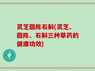 灵芝茵陈石斛(灵芝、茵陈、石斛三种草药的健康功效)