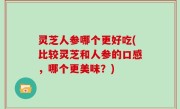 灵芝人参哪个更好吃(比较灵芝和人参的口感，哪个更美味？)
