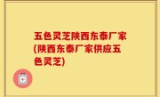 五色灵芝陕西东泰厂家(陕西东泰厂家供应五色灵芝)