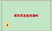草药灵芝能泡酒吗