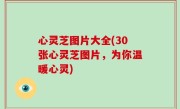 心灵芝图片大全(30张心灵芝图片，为你温暖心灵)