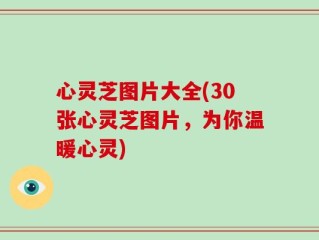 心灵芝图片大全(30张心灵芝图片，为你温暖心灵)