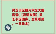 灵芝小区图片大全大图高清(【高清大图】灵芝小区图库，全景看房，一览无余)