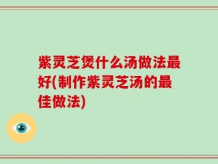 紫灵芝煲什么汤做法最好(制作紫灵芝汤的最佳做法)