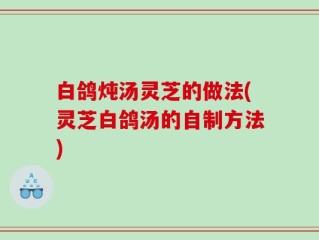 白鸽炖汤灵芝的做法(灵芝白鸽汤的自制方法)