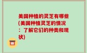 美国种植的灵芝有哪些(美国种植灵芝的情况：了解它们的种类和现状)