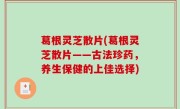 葛根灵芝散片(葛根灵芝散片——古法珍药，养生保健的上佳选择)