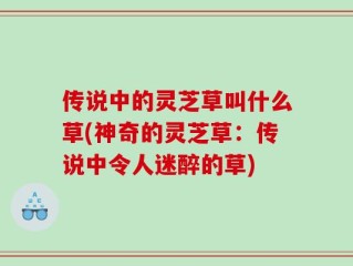 传说中的灵芝草叫什么草(神奇的灵芝草：传说中令人迷醉的草)