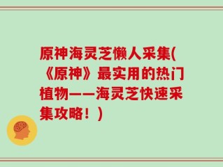 原神海灵芝懒人采集(《原神》最实用的热门植物——海灵芝快速采集攻略！)
