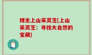 博主上山采灵芝(上山采灵芝：寻找大自然的宝藏)